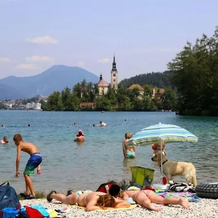 Хостел Fully Equipped Six Bedroom House 15 Kilometers From Bled - With A Terrace, Garden, Playground, And Parking Kropa