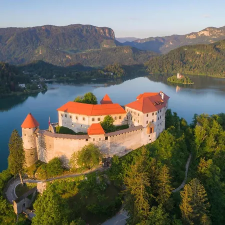 Far Away So Close Near Bled 旅馆 *