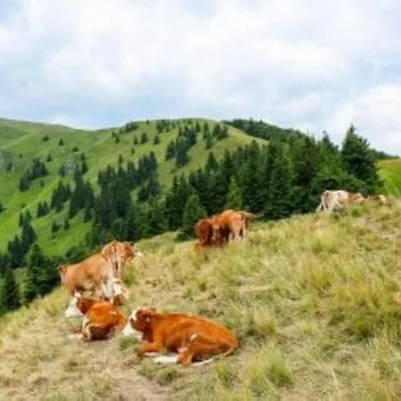 Fully Equipped Six Bedroom House 15 Kilometers From Bled - With A Terrace, Garden, Playground, And Parking Kropa