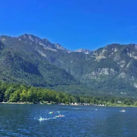 Far Away So Close Near Bled 旅馆 *