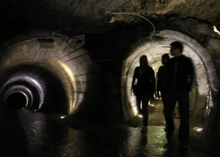 Fully Equipped Six Bedroom House 15 Kilometers From Bled - With A Terrace, Garden, Playground, And Parking *