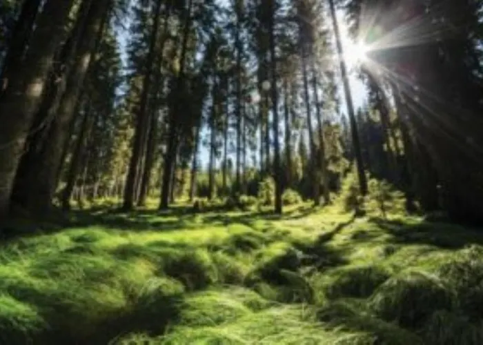 Fully Equipped Six Bedroom House 15 Kilometers From Bled - With A Terrace, Garden, Playground, And Parking * Kropa