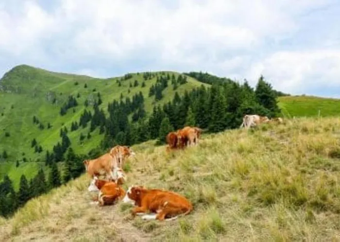 Fully Equipped Six Bedroom House 15 Kilometers From Bled - With A Terrace, Garden, Playground, And Parking Kropa